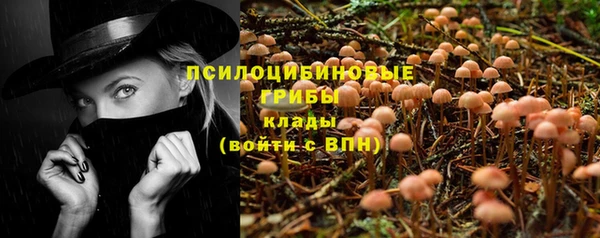 соль ск Аркадак