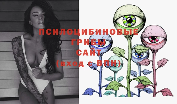 бошки Пересвет